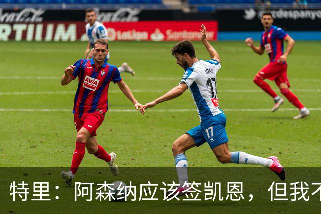 特里：阿森纳应该签凯恩，但我不确定有谁愿意去那这才是问题所在